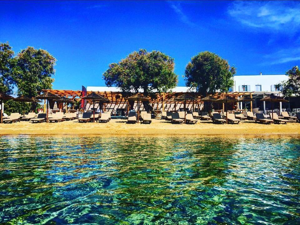 Cactus Beach Paros Logaras Eksteriør bilde